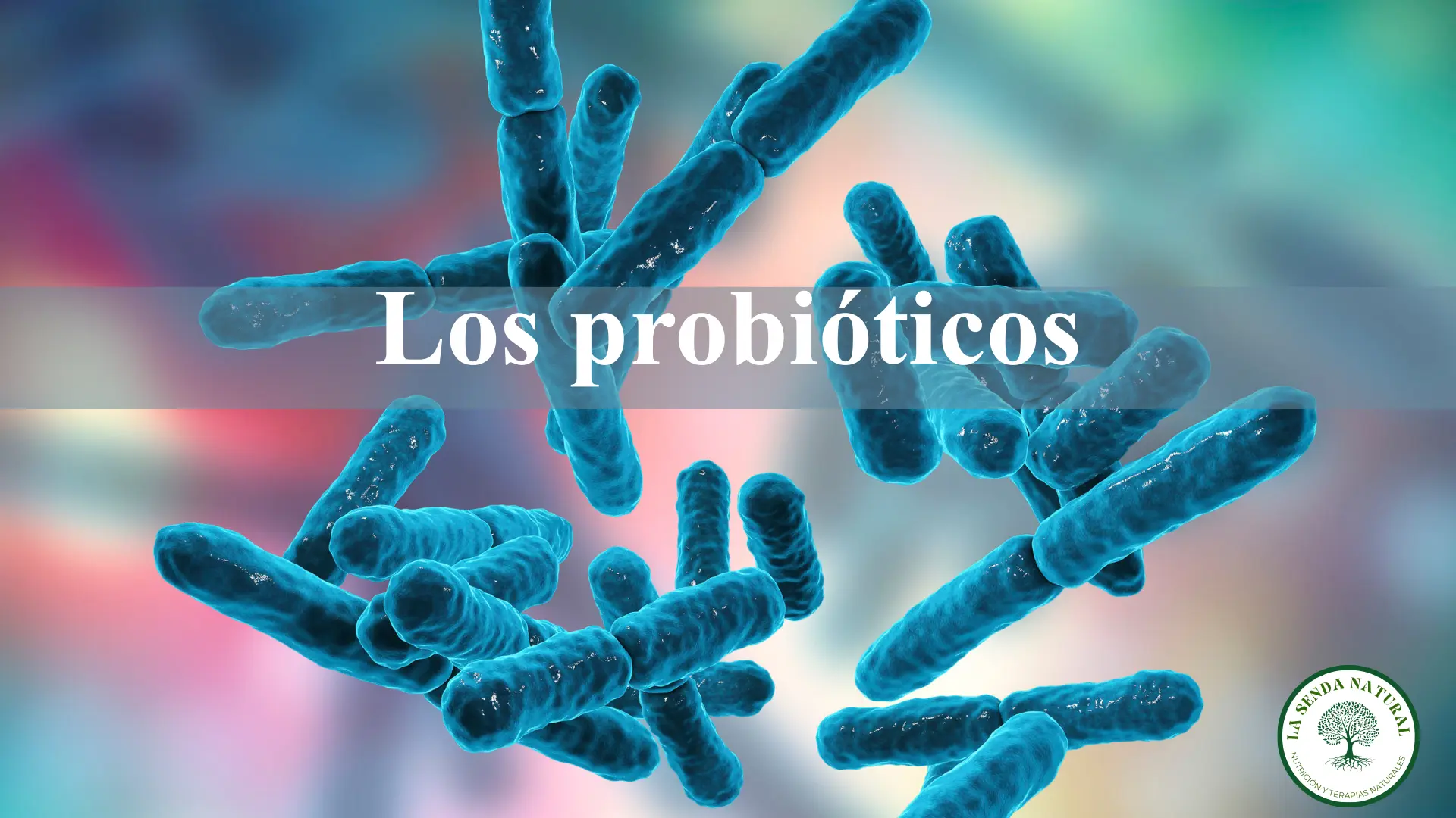 Qué son los probióticos