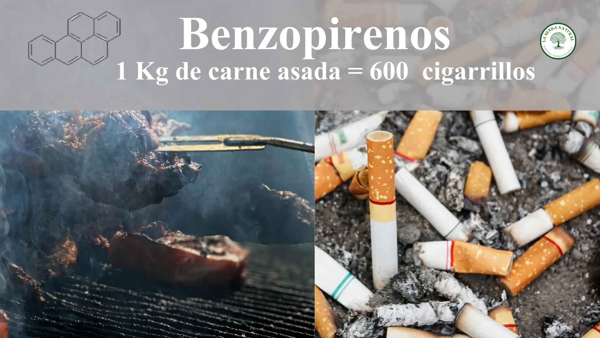 Contaminación Abiótica-Benzopirenos