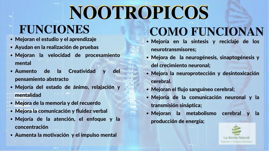 FUNCIONES DE LOS NOOTROPICOS
