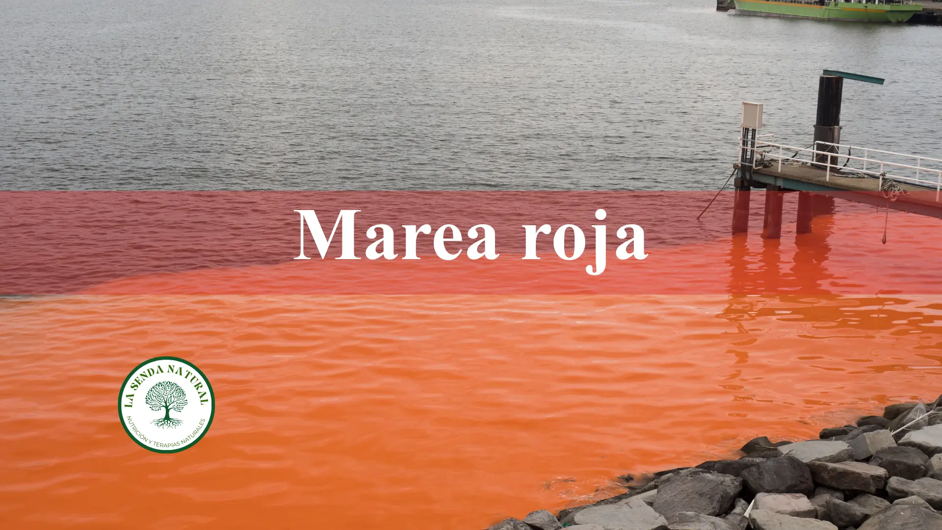 Marea roja