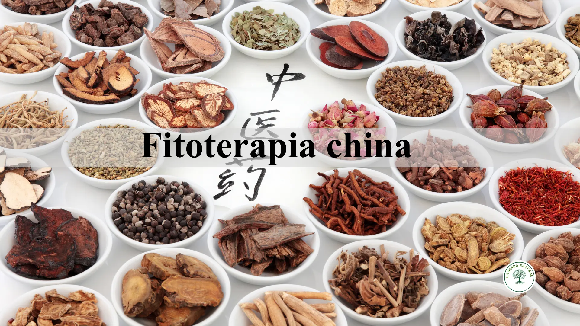 Componentes de la medicina china