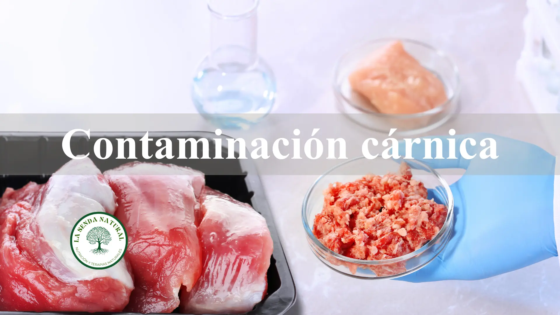 Contaminación cárnica
