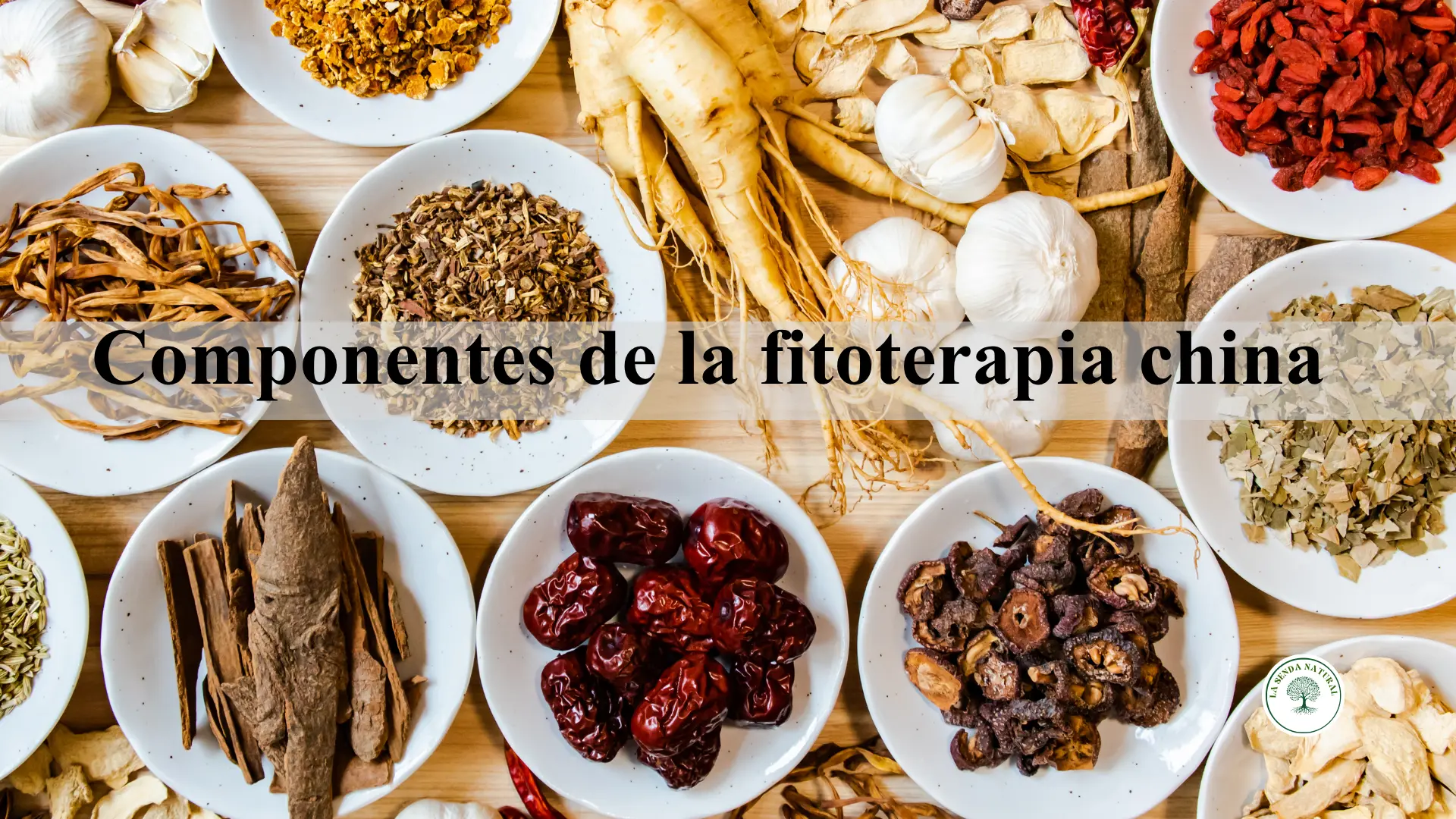 Fitoterapia china y formas terapéuticas