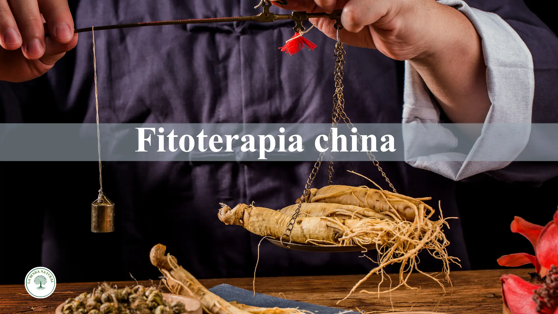 Fitoterapia china