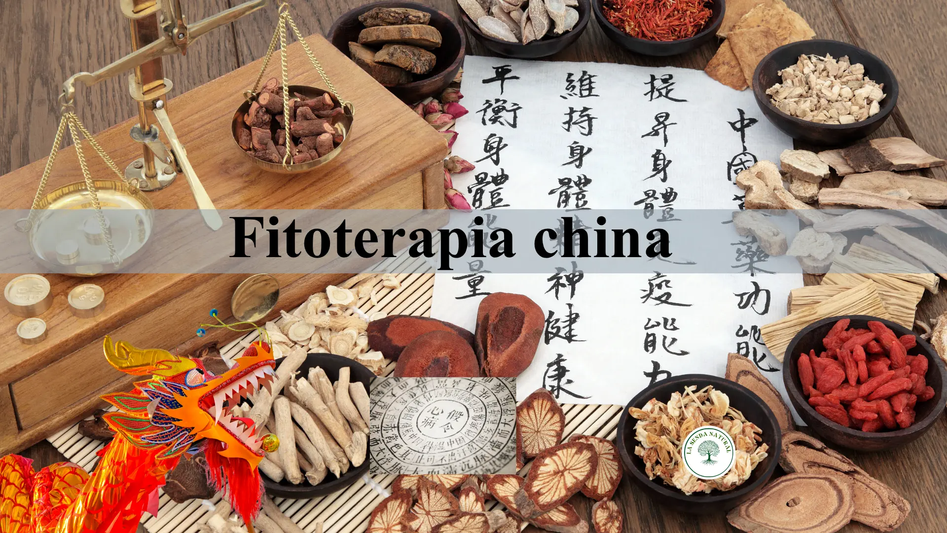 Medicina china