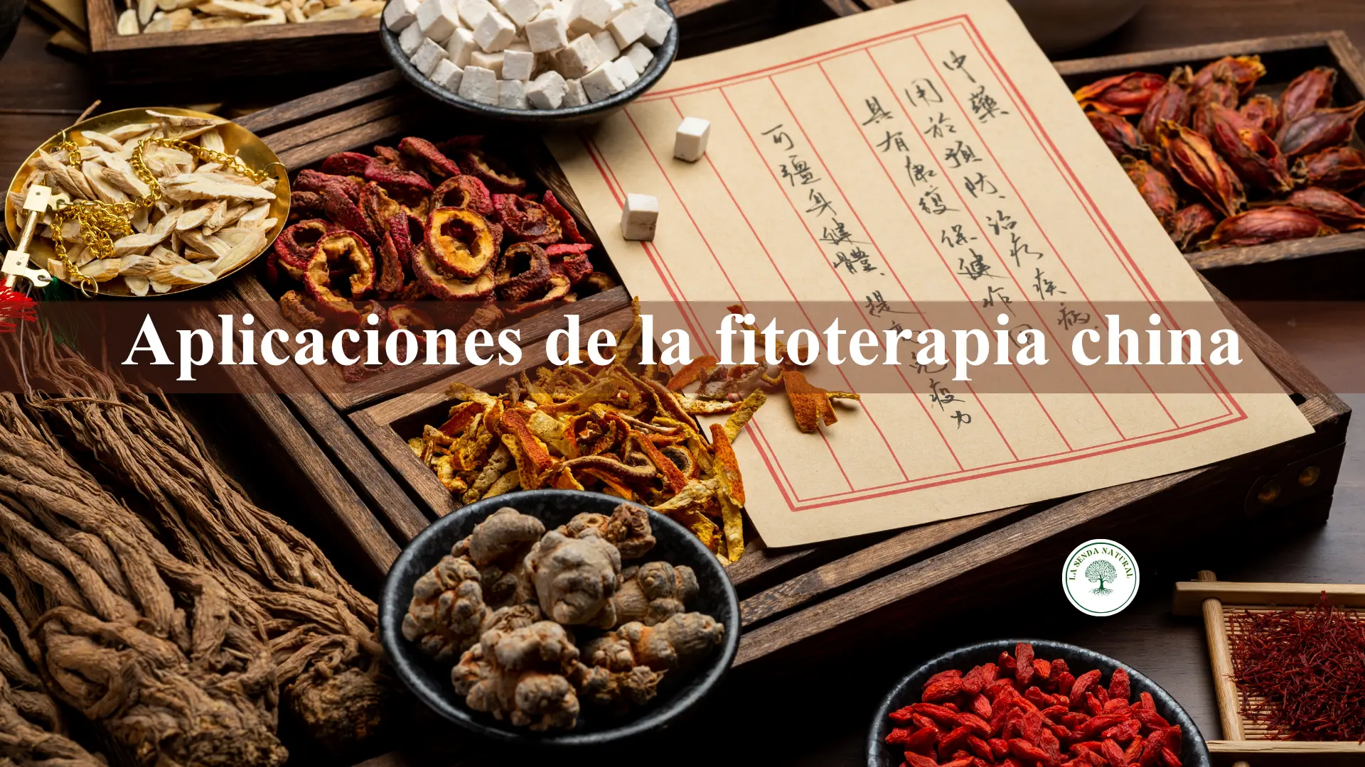 Medicina herbal milenaria