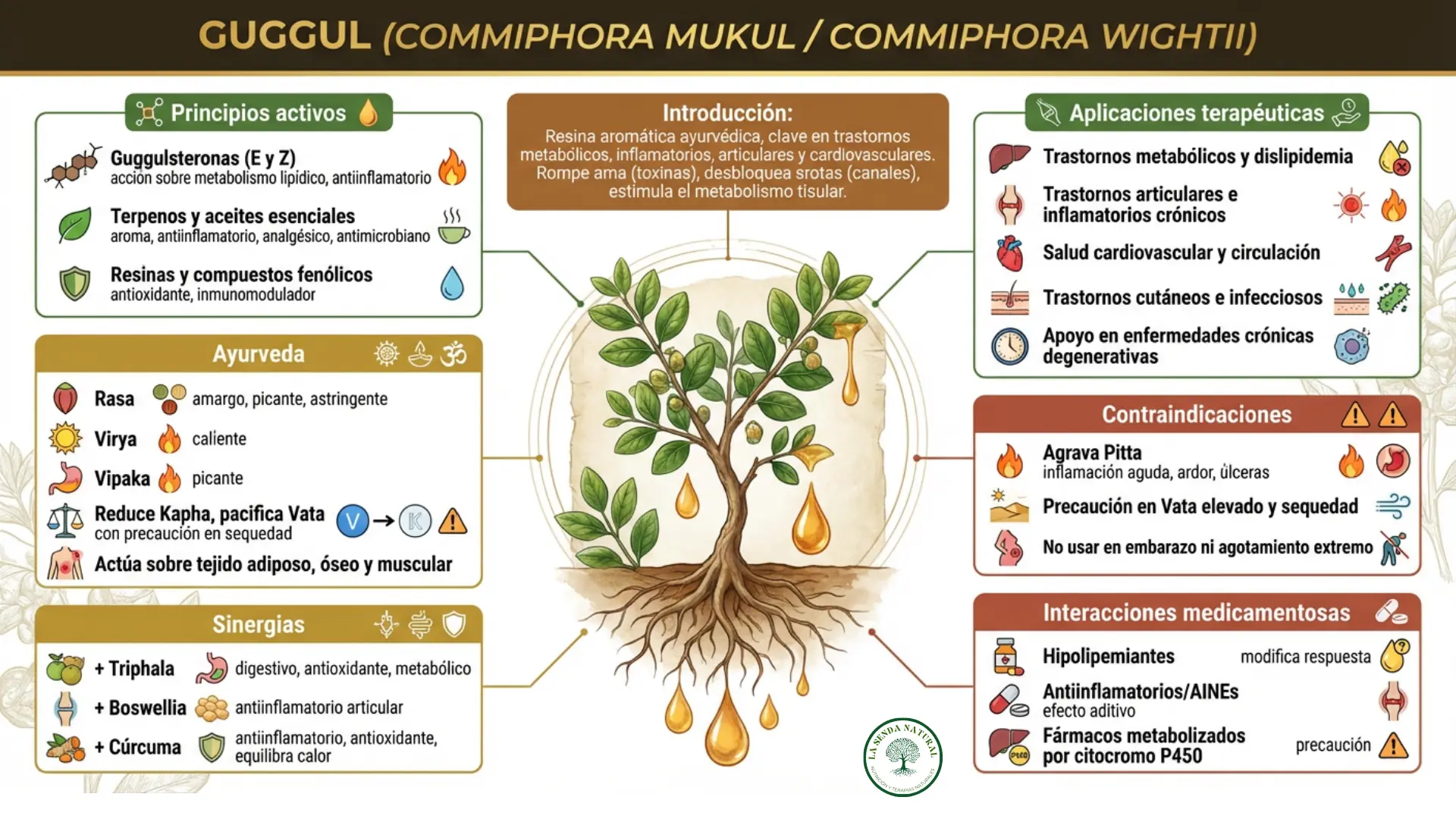Guggul- Commiphora