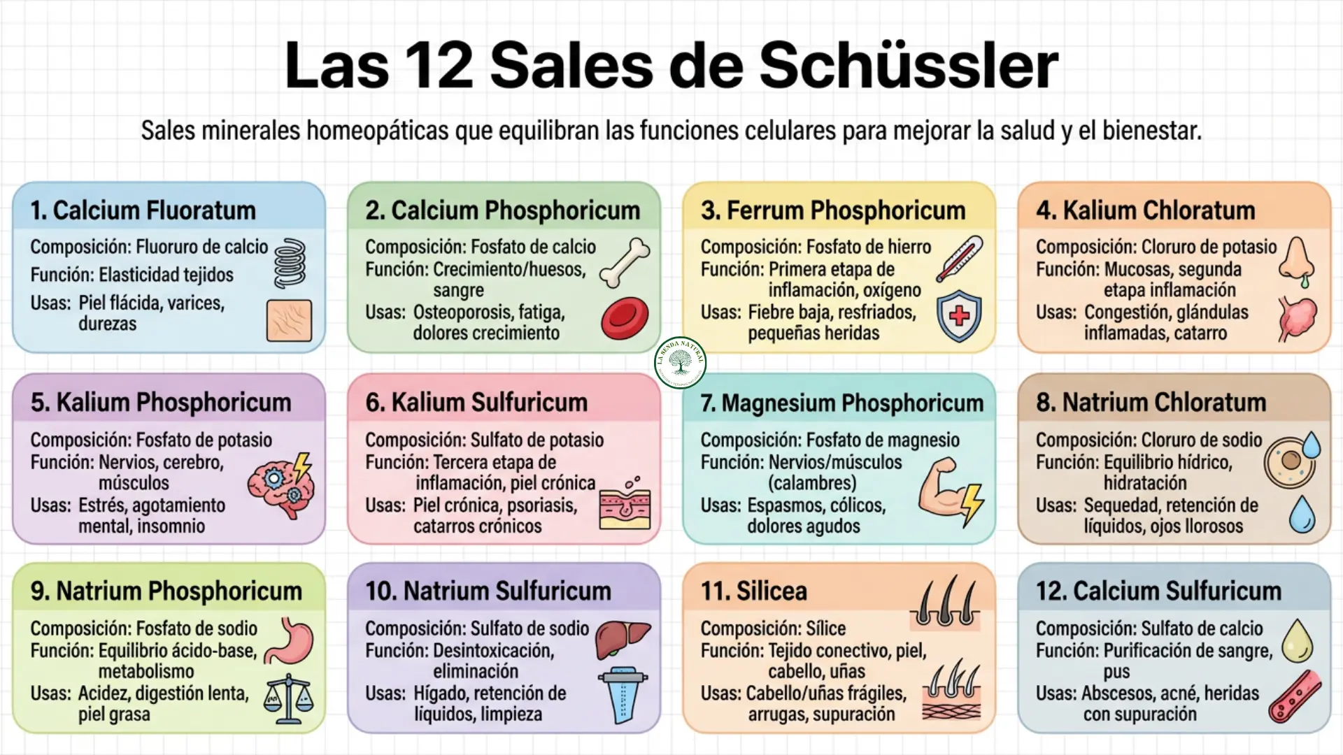 Las 12 sales de Schussler