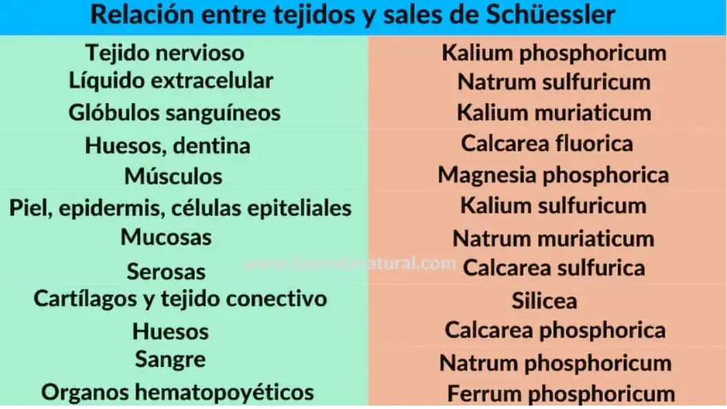 SALES DE SCHUSSLER Y TEJIDOS