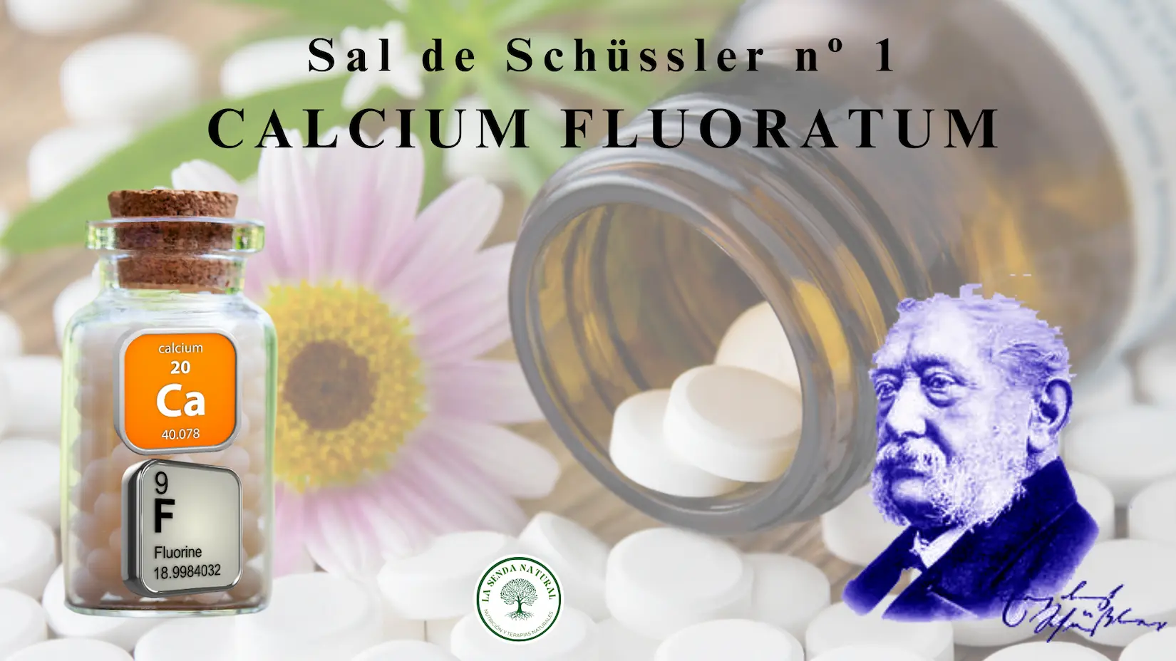 Sal Nº 1 Calcárea Fluórica