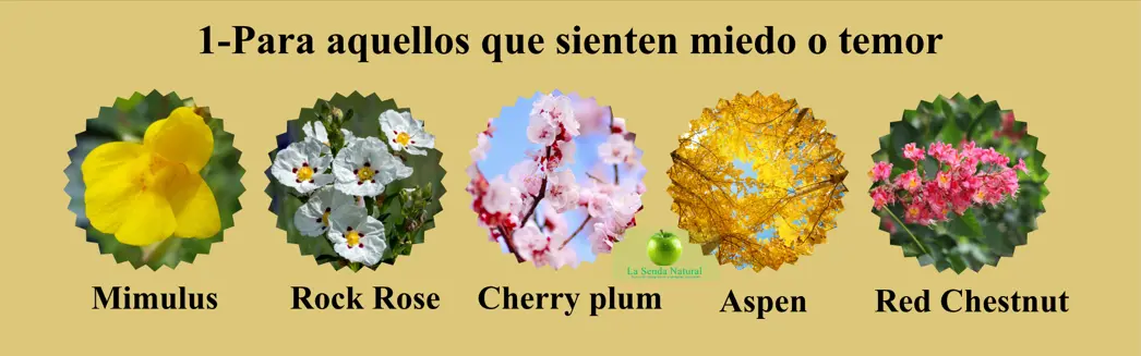 Flores de Bach, para aquellos que sienten miedo o temor