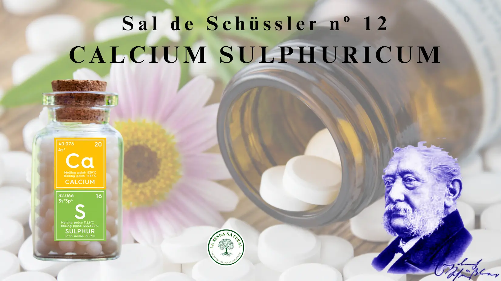 Sal Nº 12 Calcárea Sulfúrica
