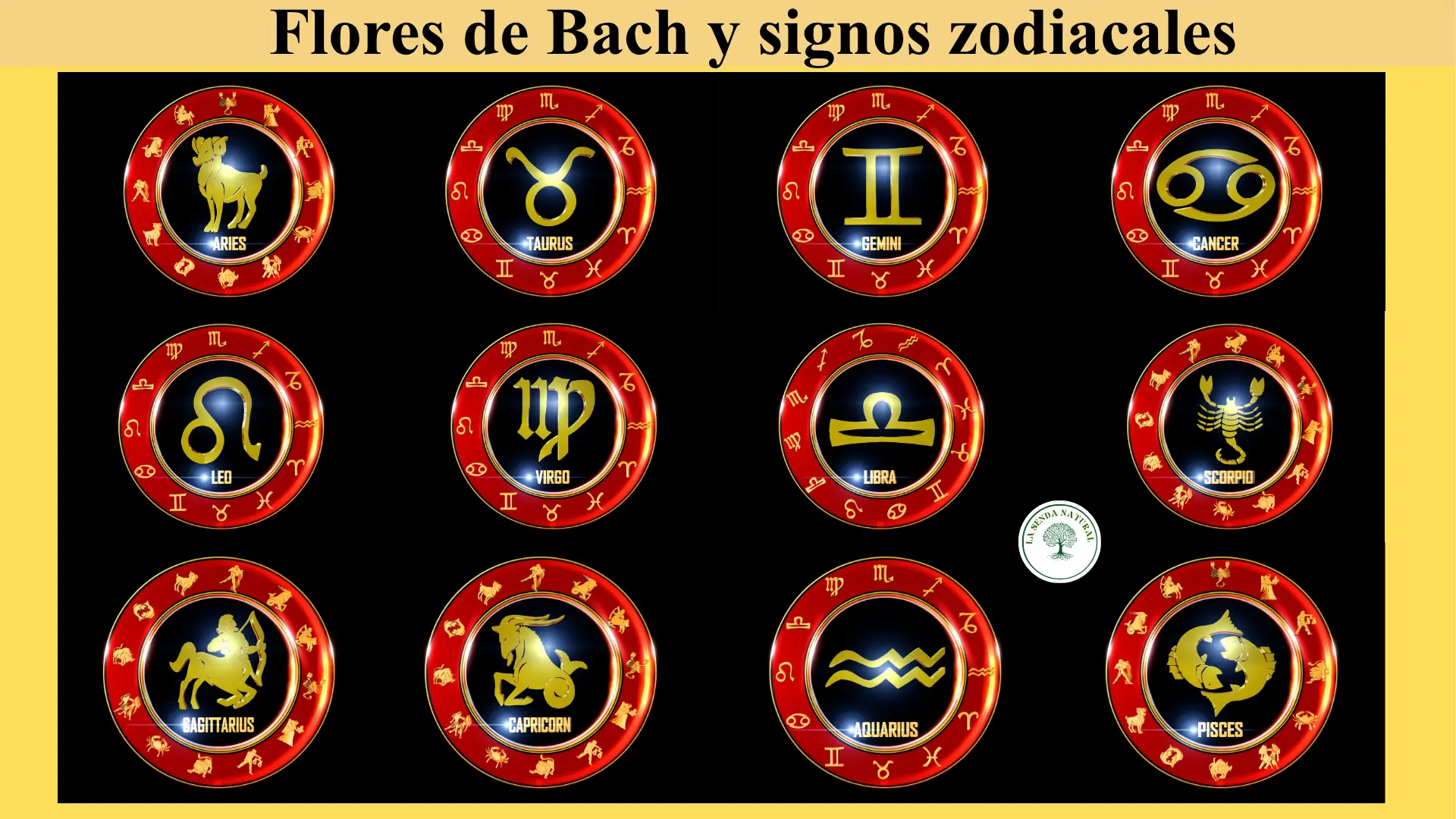 12 signos del zodíaco y las flores de Bach