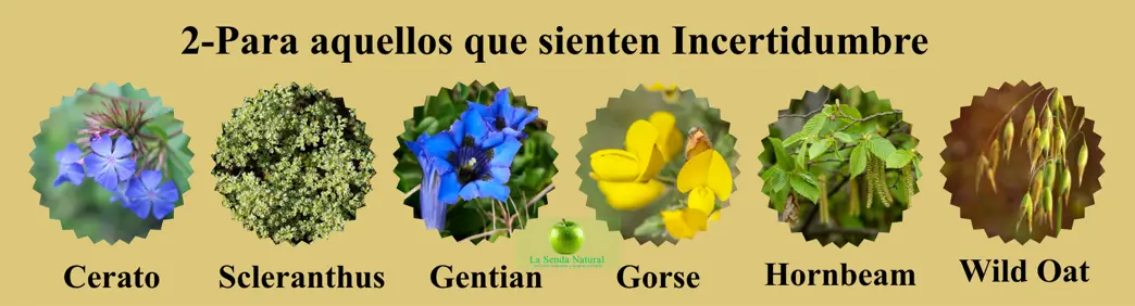 Flores de Bach, Para aquellos que sienten incertidumbre