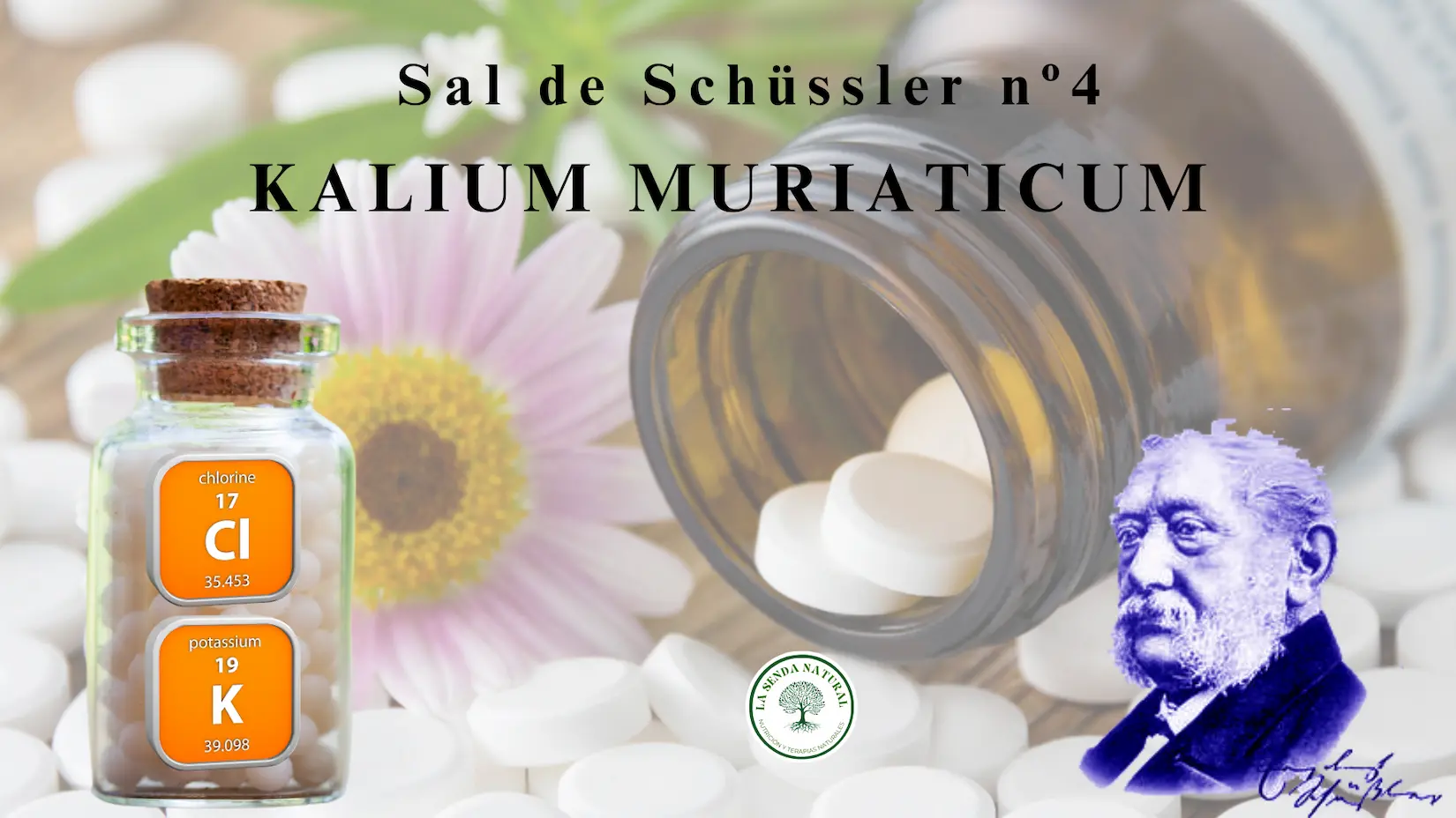 SAl 4-KALIUM MURIATICUM