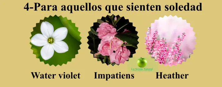 Flores de Bach, Para aquellos que sienten soledad