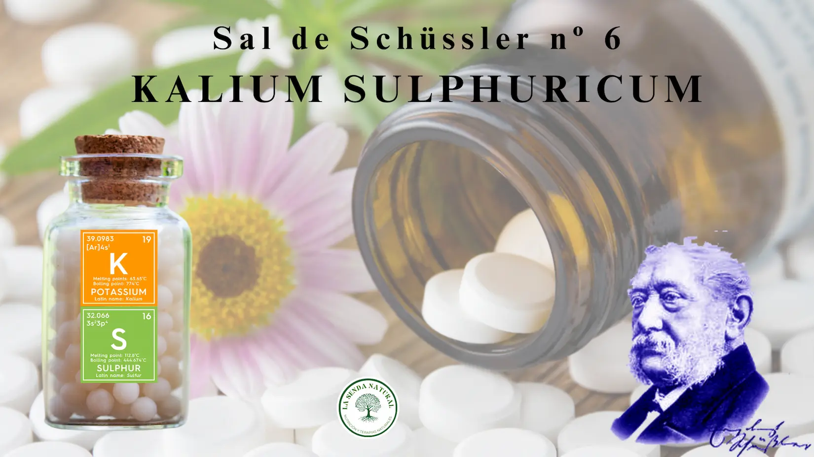 6-KALIUM SULFURICUM 