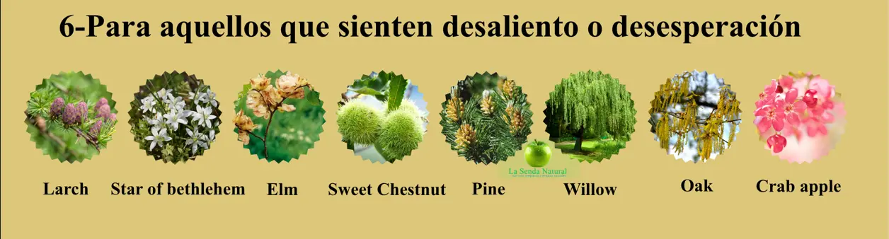 Flores de Bach, Para aquellos sienten desaliento o desesperación