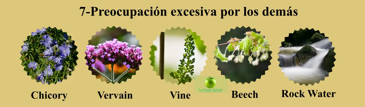 Flores de Bach, Preocupación excesiva por los demás