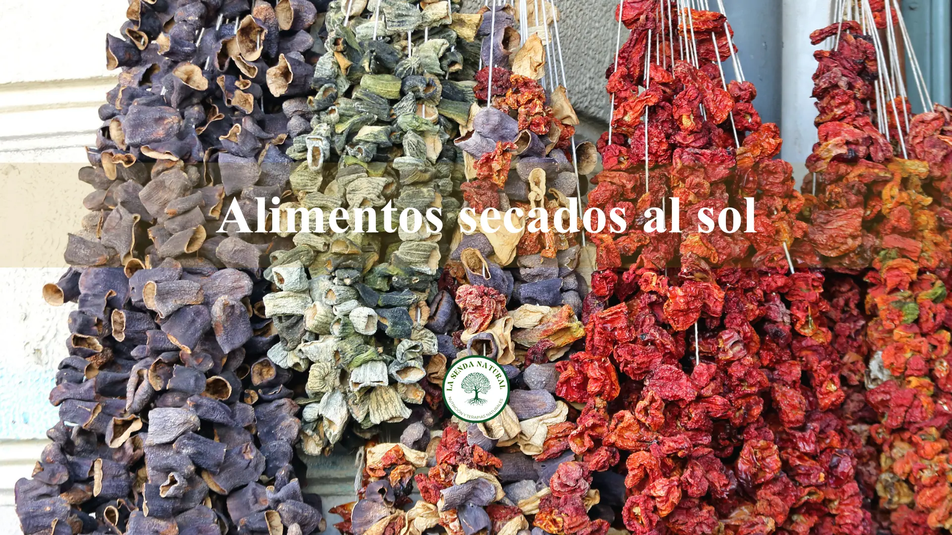 Alimentos secados al sol