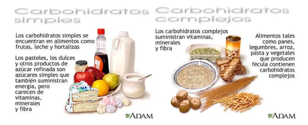 CARBOHIDRATOS ADAM