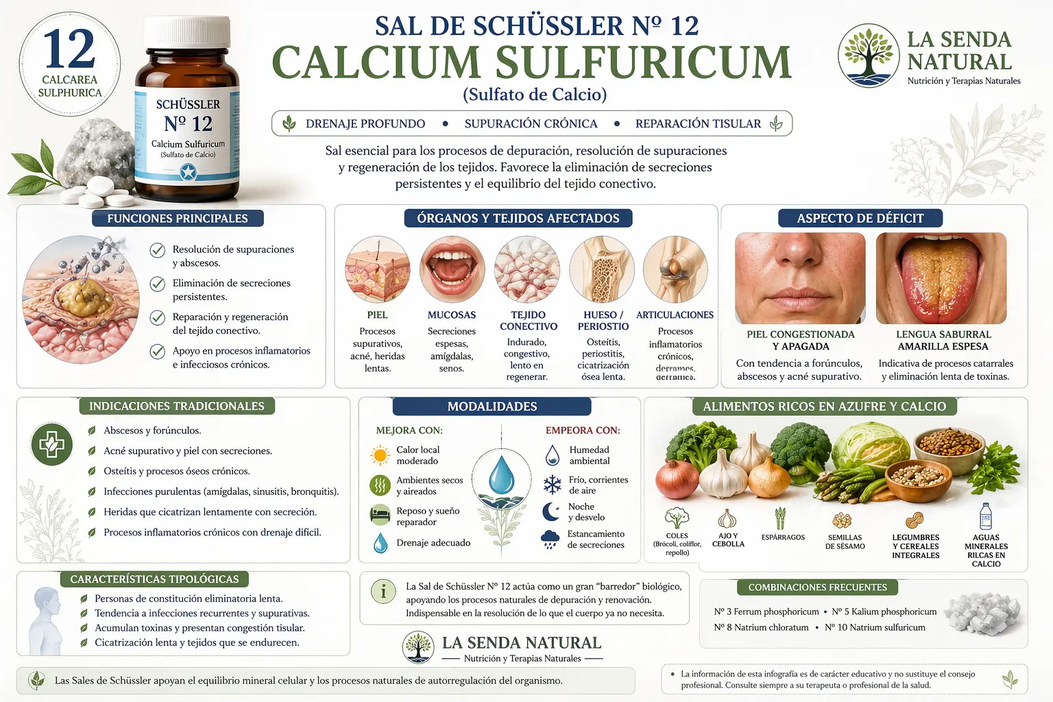 Características Calcarea sulfúrica