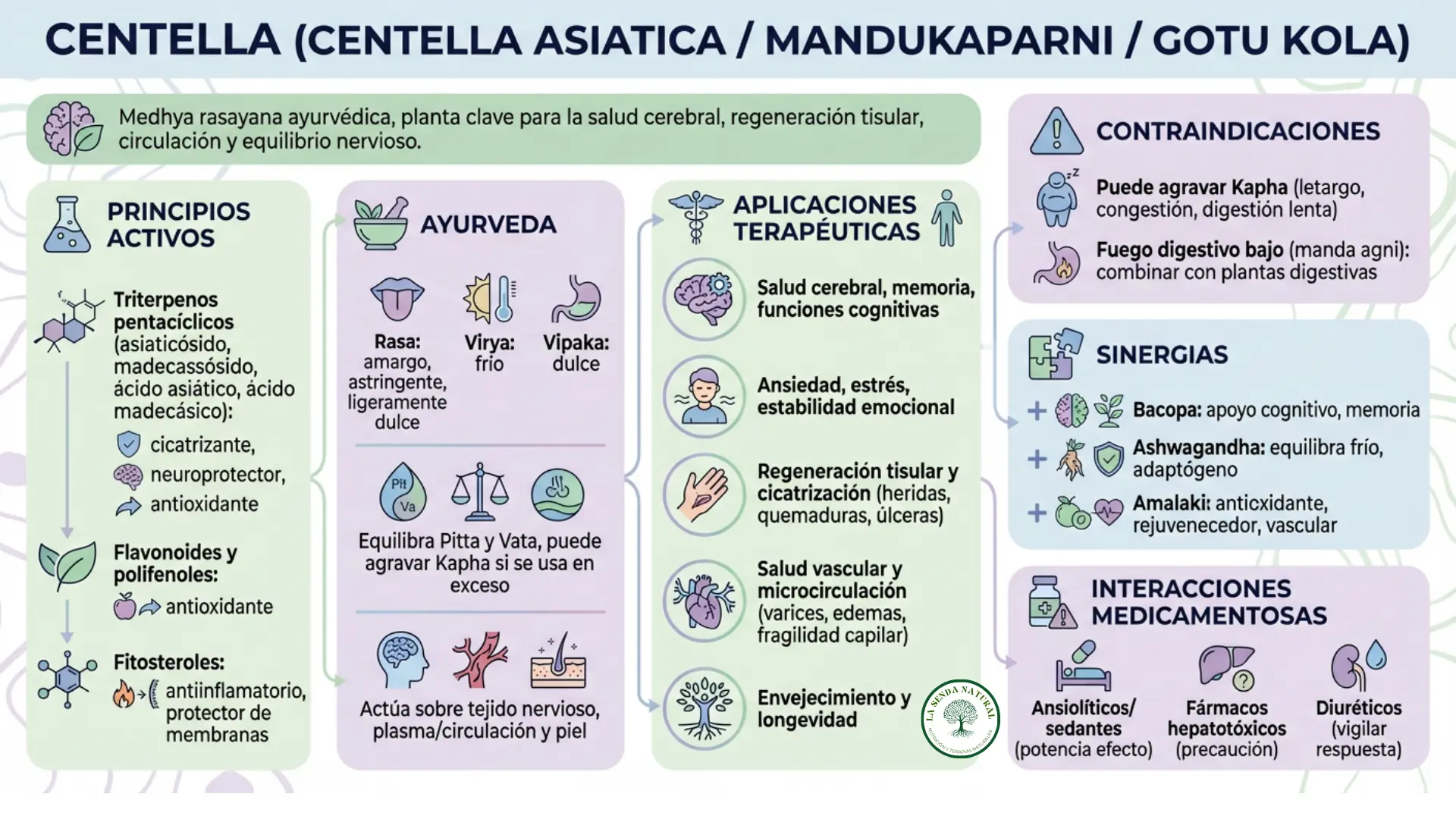 Centella asiatíca-Gotu kola