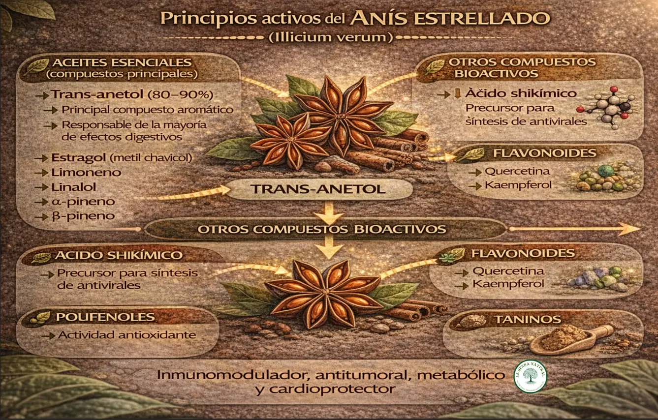 Compuestos activos del anís estrellado