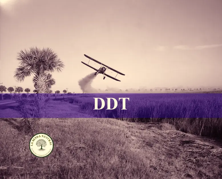 DDT