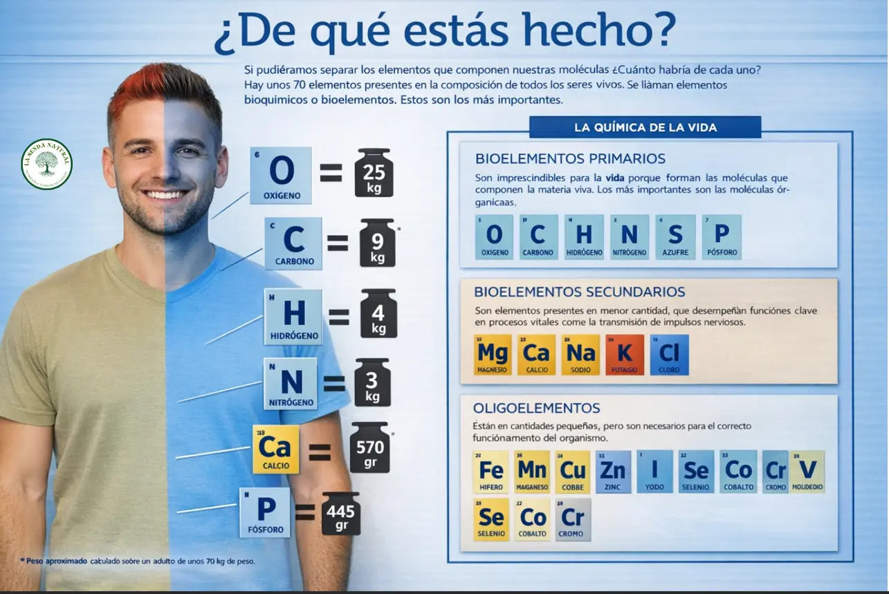 De que estás hecho