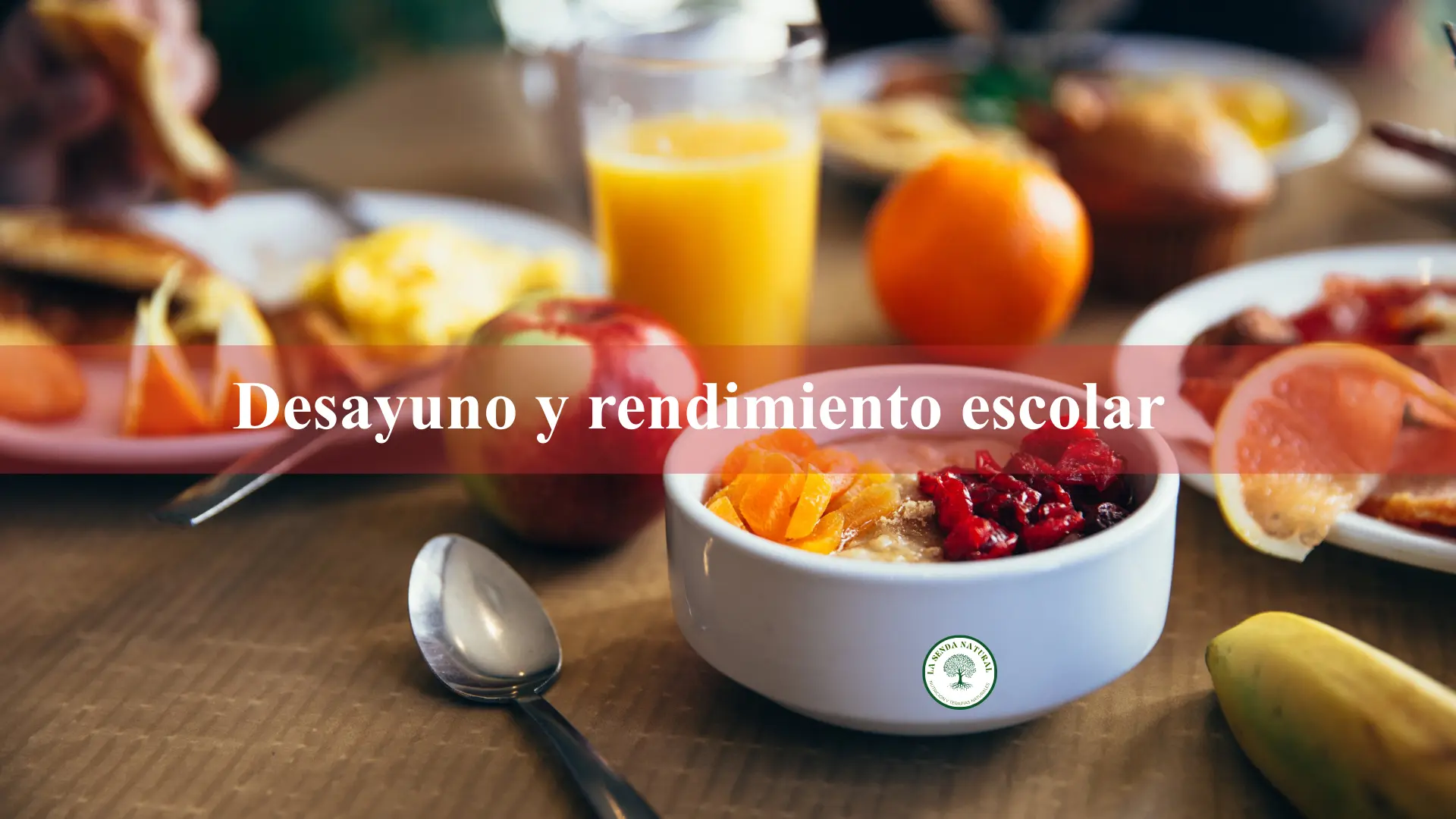 Influencia de la Nutrición en el desarrollo y rendimiento de los estudiantes