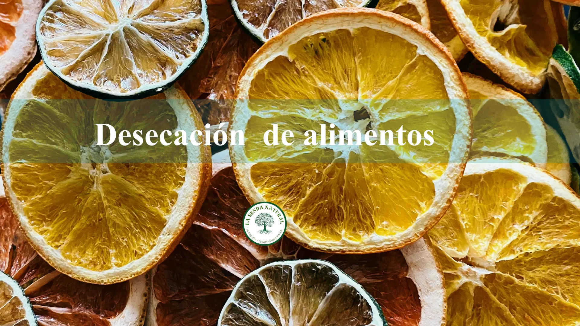 Desecación de alimentos