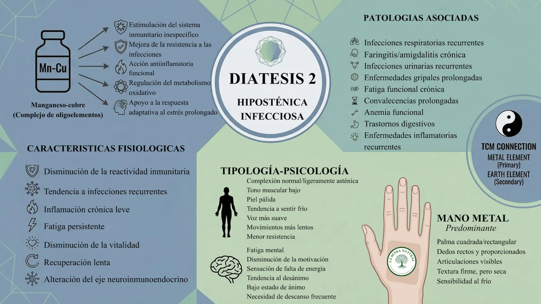 Diátesis 2 Hiposténica