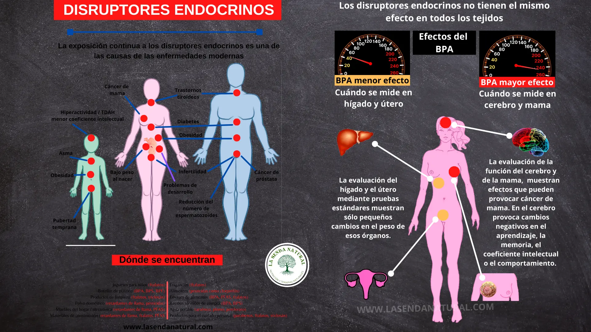 Disruptores endocrinos