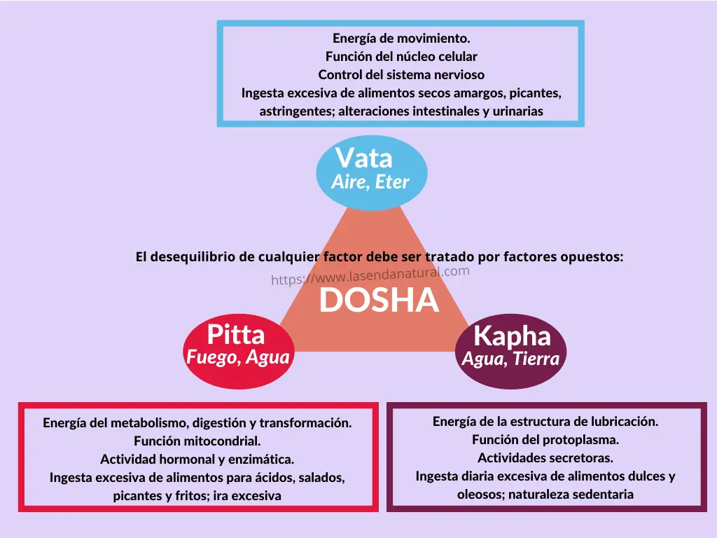 Doshas conceptos básicos