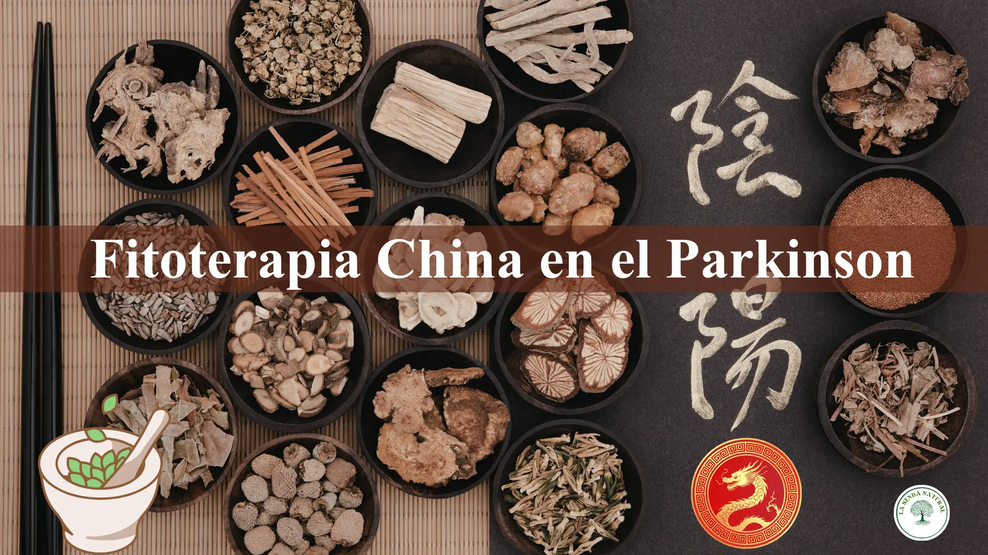 FITOTERAPIA PARA EL PARKINSON