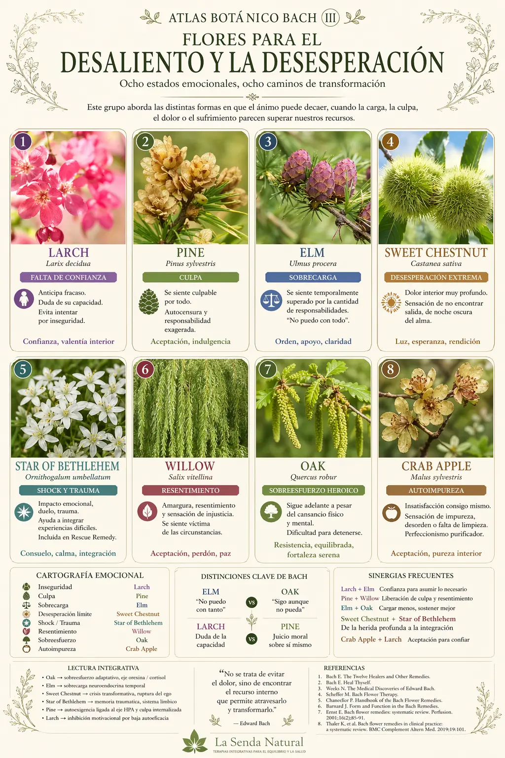 Flores para la desesperación y el desaliento