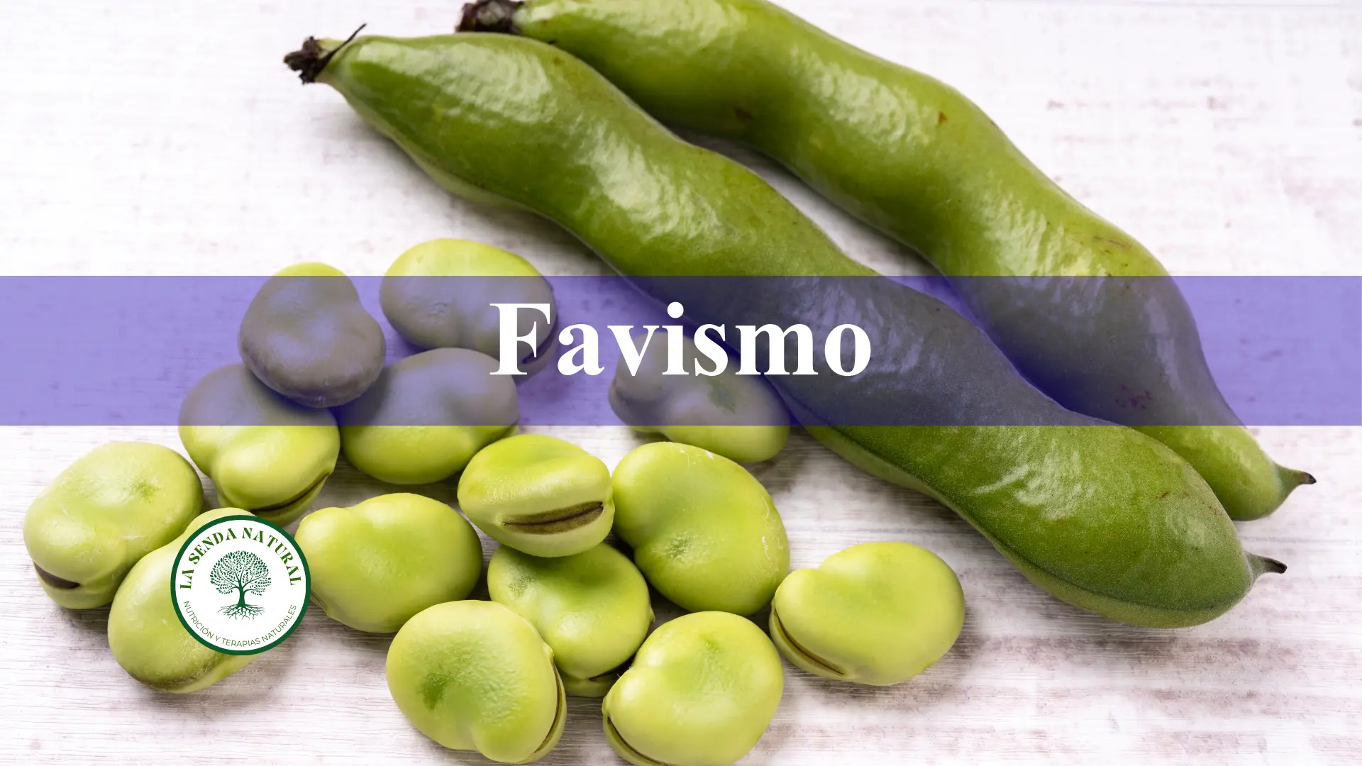Favismo