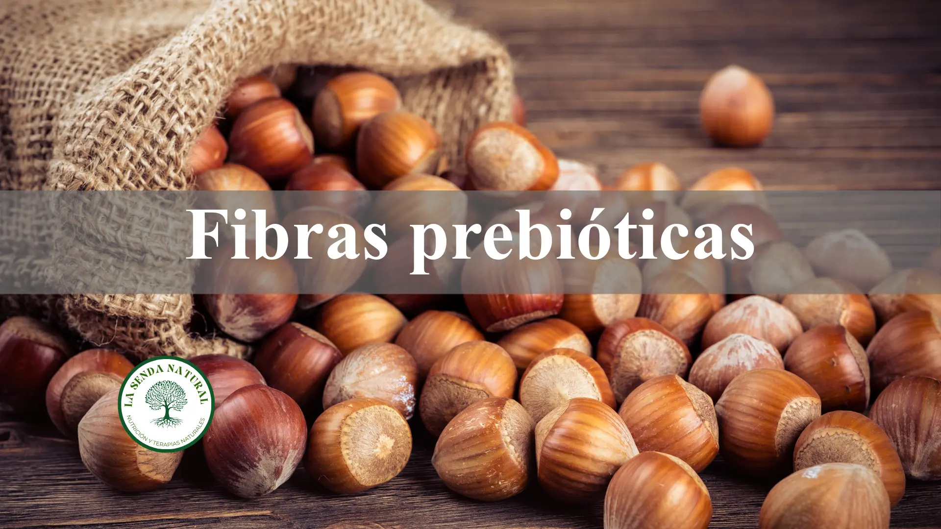 Fibras prebióticas