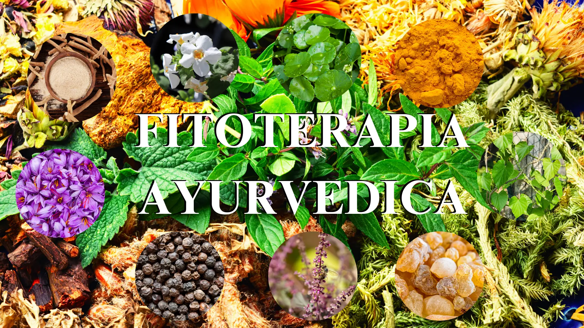 Fitoterapia ayurvédica