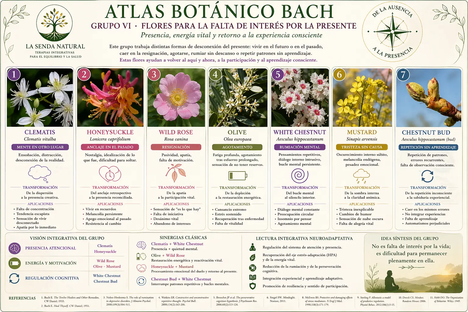Flores para la falta de interés por el presente