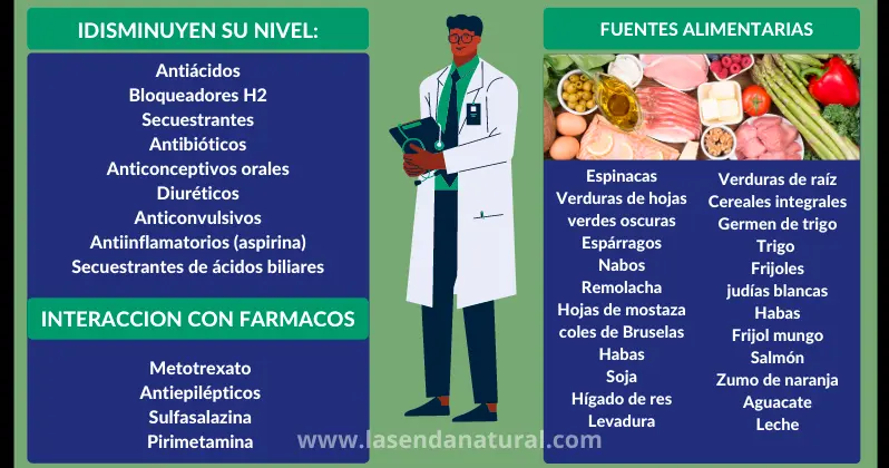 Fuentes de folatos (B9)