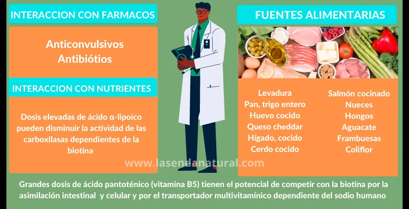 Fuentes de Biotina B8