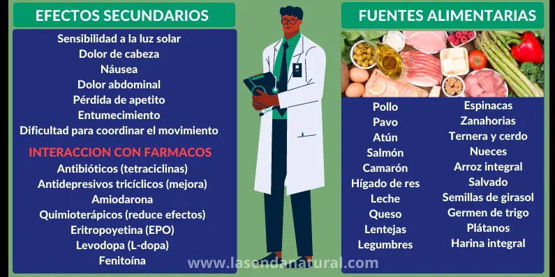 Fuentes de Piridoxina (B6)