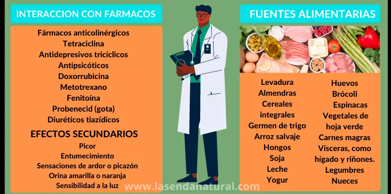 Fuentes de RIboflavina (B2)