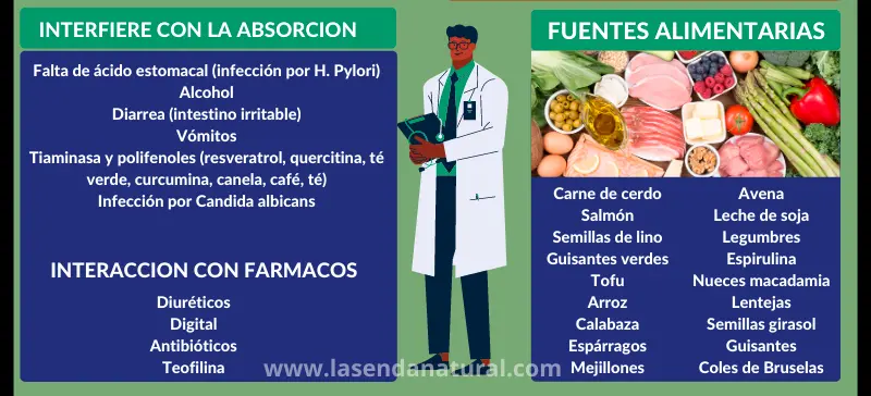 Fuentes de deficiencia tiamina