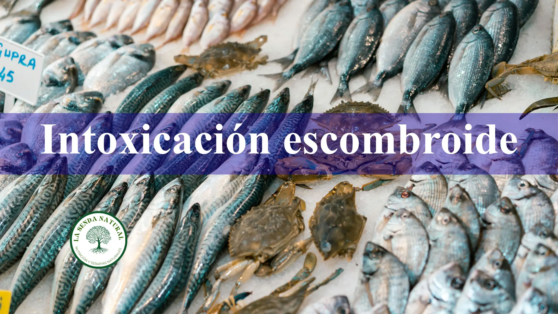Sustancias tóxicas -2