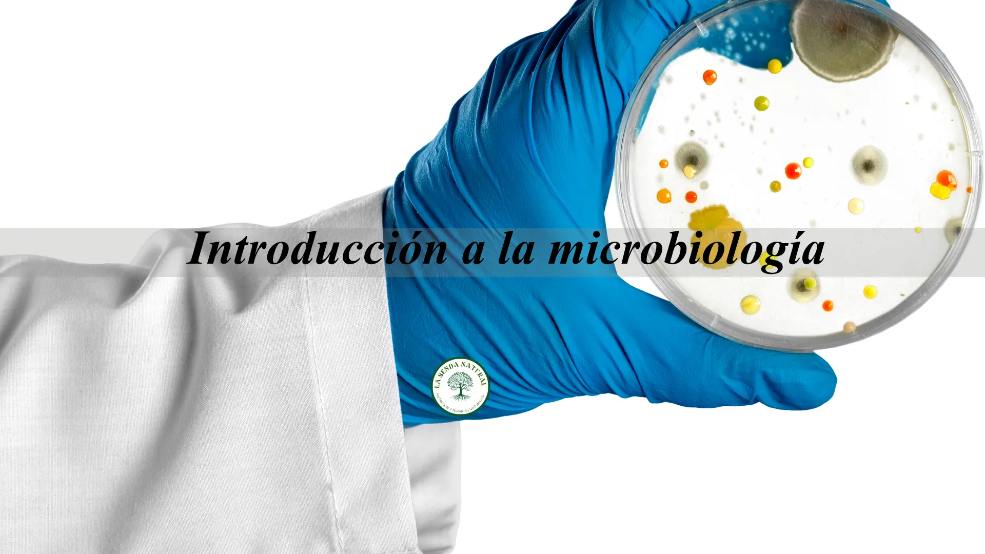 Introducción a la microbiologia