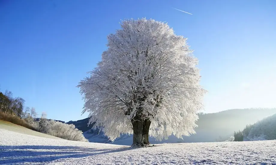 Invierno