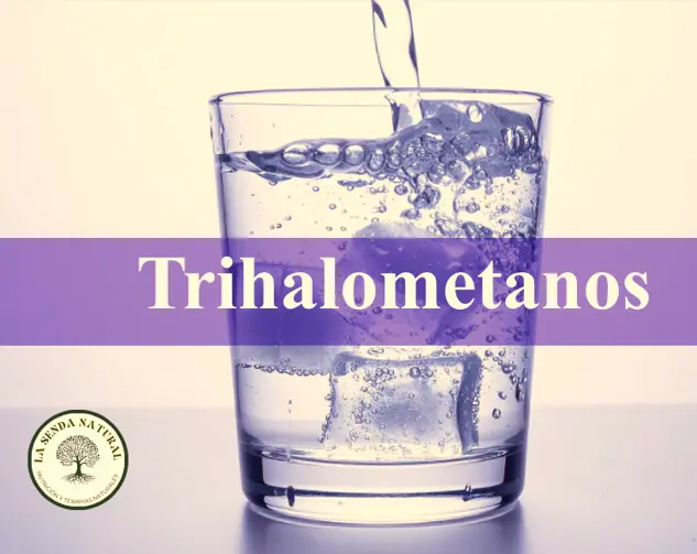 Los trihalometanos